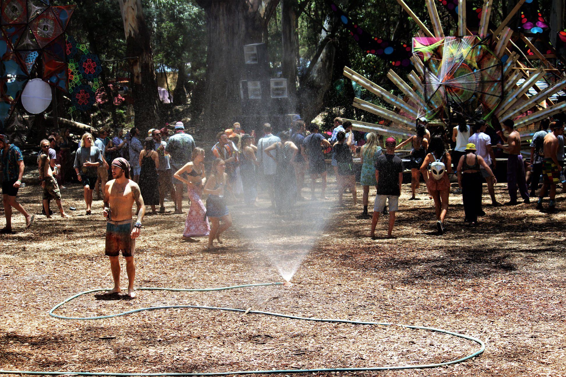 Sprinkler mist drifting over a wood-chip forest dancefloor in daylight