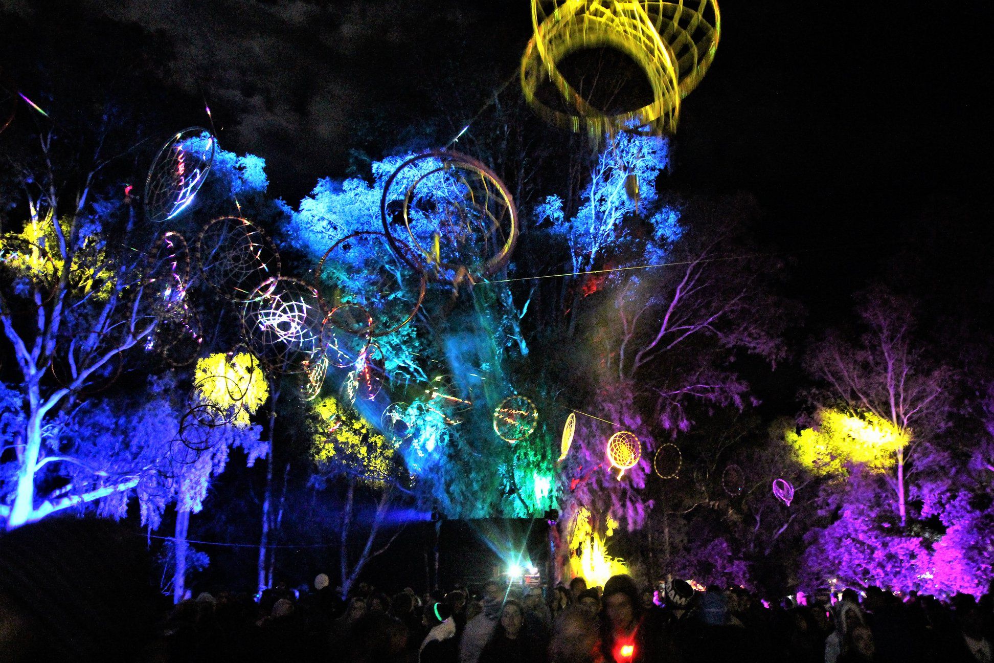 Forest canopy at night lit blue, yellow and purple, with dreamcatchers strung between the trees